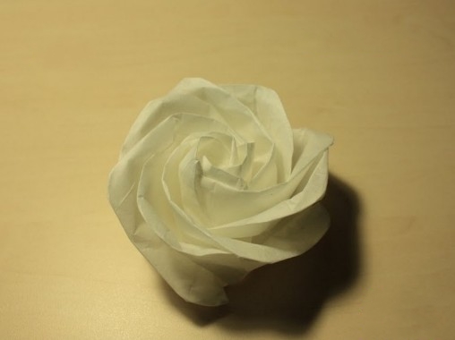 精美的威廉希尔中国官网
玫瑰花的折法图解教程展示出威廉希尔中国官网
玫瑰如何做