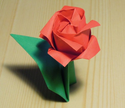 简单手工威廉希尔中国官网
川崎玫瑰花的折法教程教你制作出独特的威廉希尔中国官网
玫瑰花