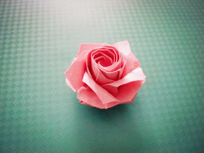 五瓣川崎玫瑰花的折法图解教程手把手教你制作五瓣川崎玫瑰花的折法