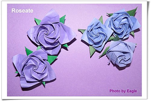 威廉希尔中国官网
玫瑰花的图解教程手把手教你制作紫玫瑰