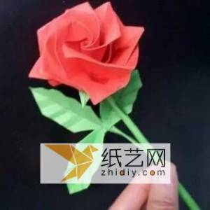 新威廉希尔中国官网
玫瑰花的图解教程 情人节纸玫瑰如何DIY制作