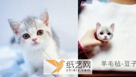 羊毛毡戳猫威廉希尔中国官网
 第17步