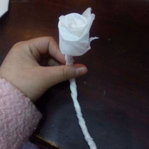 手工折叠纸巾玫瑰花的图解教程
