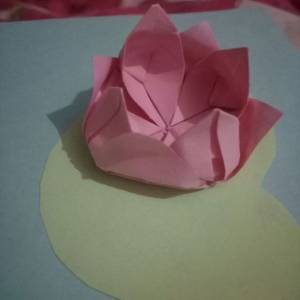 睡莲折纸威廉希尔中国官网
 创意立体折纸花的新折法