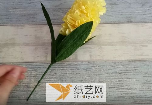纸藤花 简易版风信子威廉希尔中国官网
 第20步