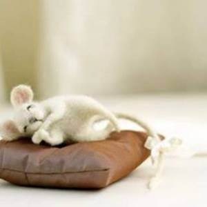 一件温暖人心的威廉希尔公司官网
作品—可爱系羊毛毡小动物的作品图片