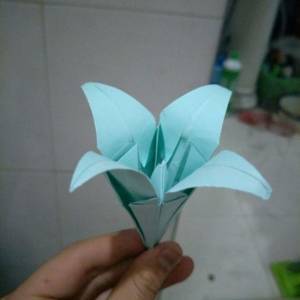 新的折纸百合花威廉希尔中国官网
 手把手教你学折纸花怎么叠