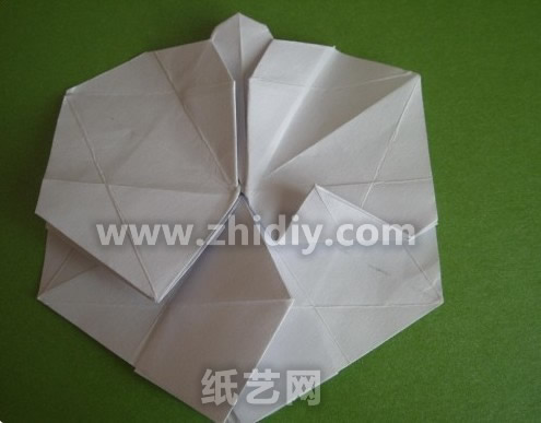 折纸蝴蝶兰纸艺花制作威廉希尔中国官网
制作过程中的第四十步