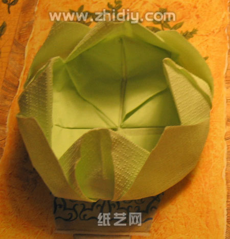 餐巾纸制作纸艺睡莲威廉希尔中国官网
制作过程中的第十一步