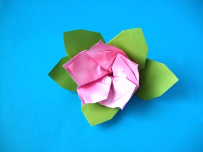 折纸杜鹃花威廉希尔中国官网
手把手教你制作漂亮的折纸杜鹃花