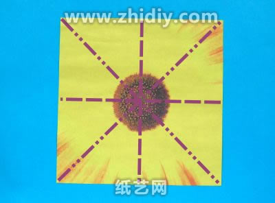 基本的威廉希尔中国官网
太阳花需要使用特殊的纸张图案