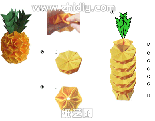 威廉希尔公司官网
折纸菠萝制作图解威廉希尔中国官网
制作过程中的第三部分