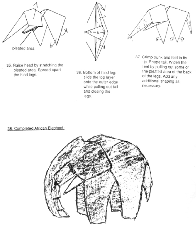 威廉希尔公司官网
折纸非洲象折纸图谱威廉希尔中国官网
第五张折纸图谱示意图