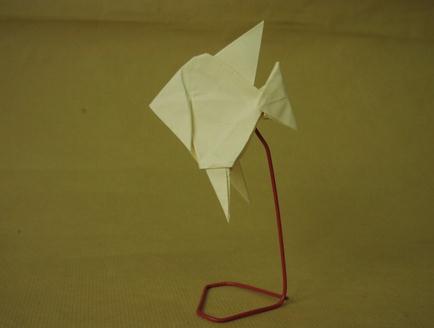 折纸大全图解之神仙鱼diy实拍折纸威廉希尔中国官网
完成后精美的效果图