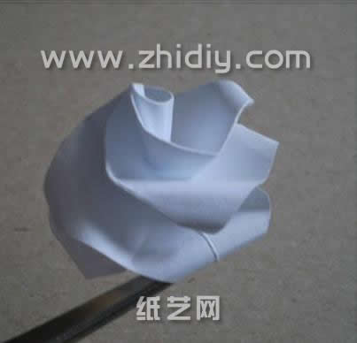 现在已经有了一个非常精彩和自然的威廉希尔公司官网
折纸玫瑰了