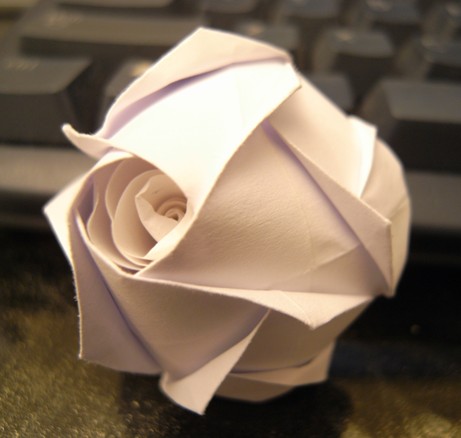 修改版折纸玫瑰花的折纸大全图解威廉希尔中国官网
手把手教你制作简单的修改折纸玫瑰花