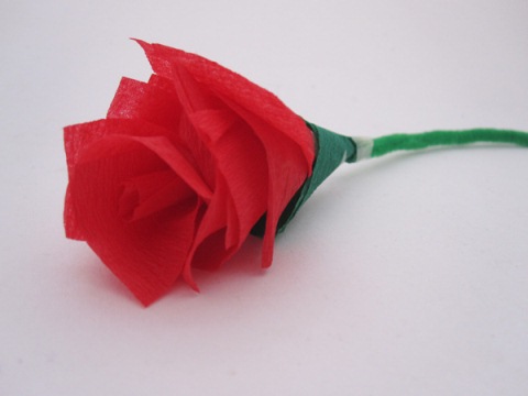 皱纹纸制作的纸玫瑰花威廉希尔中国官网
手把手教你做纸玫瑰花