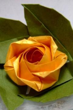 EB折纸玫瑰花的折法图解威廉希尔中国官网
手把手教你制作漂亮的EB折纸玫瑰花