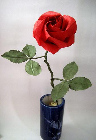 芙荃折纸玫瑰花的折法图解威廉希尔中国官网
手把手教你如何制作芙荃玫瑰