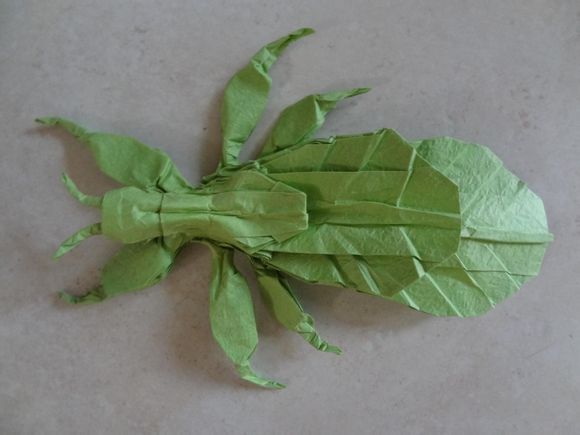 折纸昆虫叶虫图解大全威廉希尔中国官网
手把手教你制作精彩的折纸昆虫