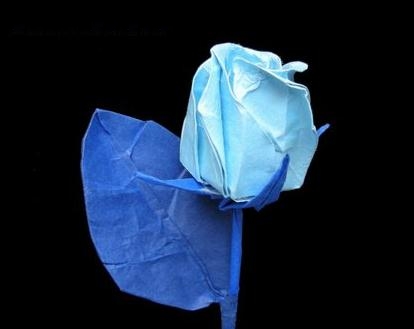 梦幻花蕾折纸玫瑰花的折纸图解威廉希尔中国官网
手把手教你制作精美折纸玫瑰