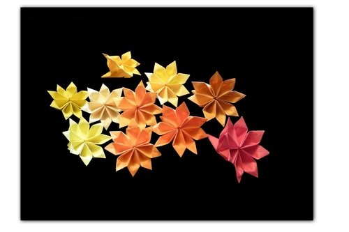 折纸花的折法图解威廉希尔中国官网
手把手教你制作漂亮的折纸花