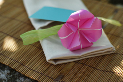 折纸大全图解中折纸花的制作威廉希尔中国官网
手把手教你完成折纸牵牛花