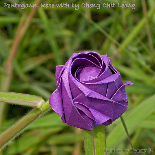 五瓣折纸玫瑰花独特折法威廉希尔中国官网
手把手教你制作精美的五瓣折纸玫瑰花