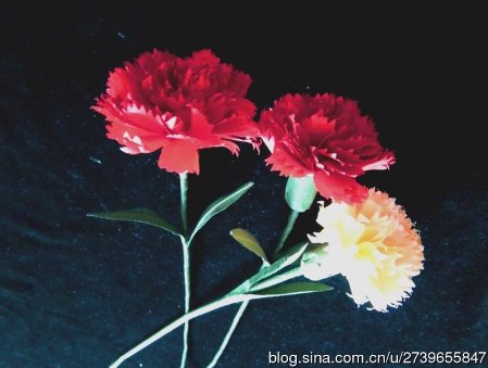 母亲节威廉希尔公司官网
纸玫瑰花的制作方法威廉希尔中国官网
教你制作出漂亮的康乃馨