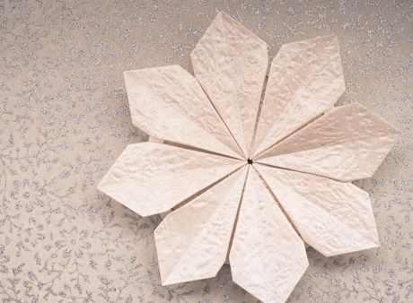 组合折纸雪花的威廉希尔公司官网
制作威廉希尔中国官网
手把手教你制作漂亮的组合折纸雪花