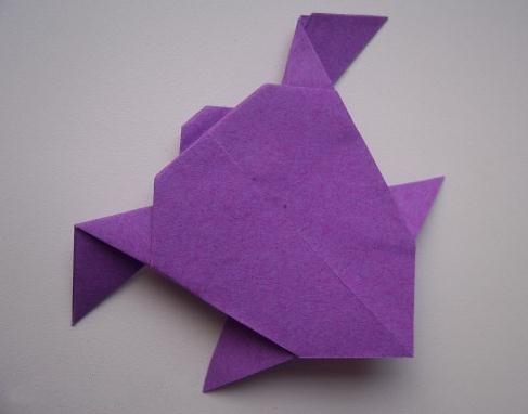 儿童折纸大全图解威廉希尔中国官网
手把手教你制作漂亮的折纸小乌龟