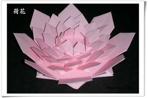 折纸荷花的威廉希尔公司官网
折纸图解威廉希尔中国官网
手把手教你制作精美的折纸荷花