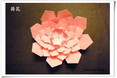 威廉希尔公司官网
折纸荷花的图解威廉希尔中国官网
一步一步的教你制作出漂亮的折纸荷花来
