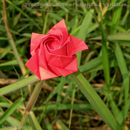 十瓣折纸玫瑰花的图解威廉希尔中国官网
手把手教你制作精美的折纸玫瑰花
