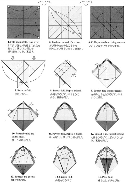 一般的折纸蝴蝶基本折法图解威廉希尔中国官网
将如何制作折纸蝴蝶告诉你