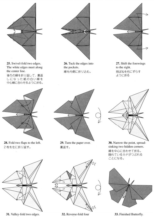 学习折纸蝴蝶就来折纸大全图解威廉希尔中国官网
中进行学习