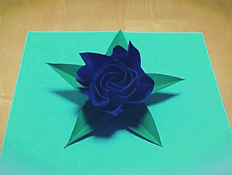 威廉希尔公司官网
折纸卷心玫瑰花的折纸图解威廉希尔中国官网
教你制作可爱的折纸卷心玫瑰