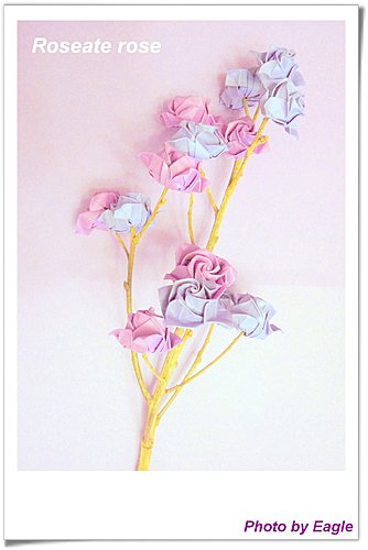 组合到一起的威廉希尔中国官网
玫瑰花展示出来的就是漂亮的玫瑰花图