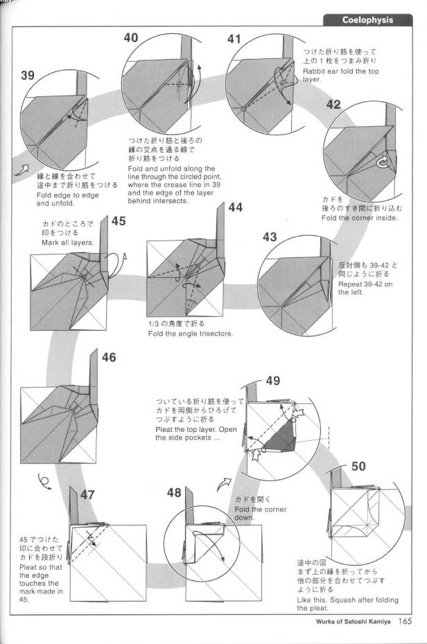 折纸腔骨龙的基本折纸图解威廉希尔中国官网
展现出来的就是这个折纸恐龙的基本折法