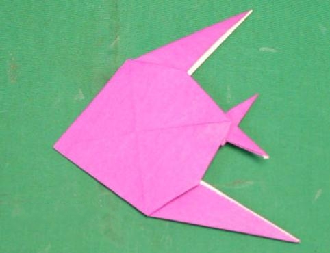 儿童折纸简单鱼的折纸视频威廉希尔中国官网
手把手教你制作精美的折纸鱼