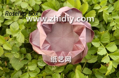 折纸玫瑰花礼盒的折法威廉希尔中国官网
手把手教你制作出漂亮的折纸玫瑰花盒子