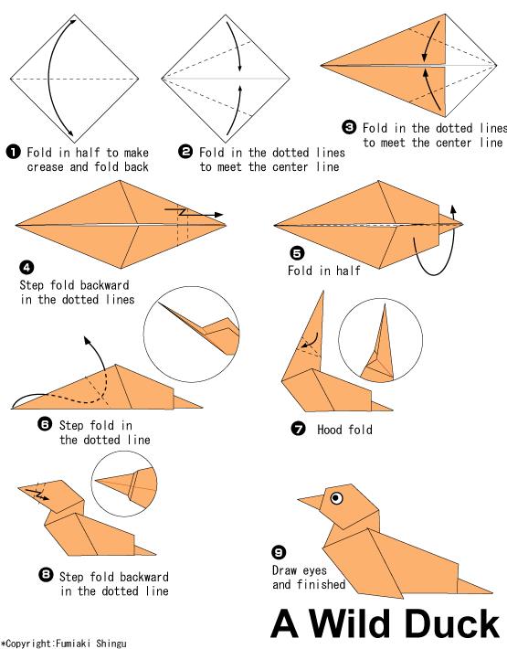 简单的儿童威廉希尔中国官网
野鸭子的基本折法教程告诉你如何完成有趣的威廉希尔中国官网
野鸭子制作