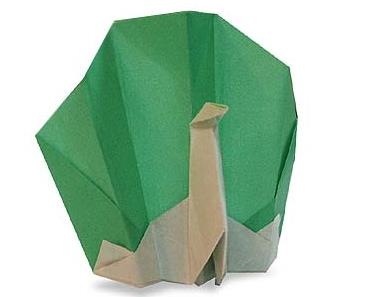 儿童折纸孔雀的折纸图解威廉希尔中国官网
手把手教你制作精致的折纸孔雀