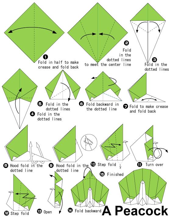 威廉希尔公司官网
折纸孔雀的折法图解威廉希尔中国官网
帮助你制作出漂亮的折纸孔雀来