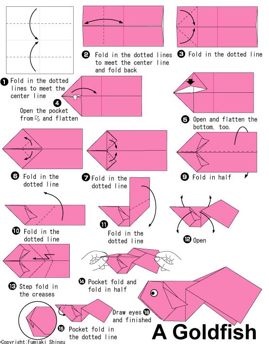 有趣的折纸金鱼基本折法威廉希尔中国官网
告诉你折纸金鱼是如何制作的