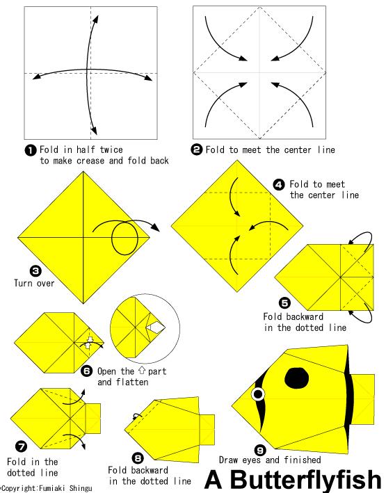 威廉希尔公司官网
折纸蝴蝶鱼的基本折法告诉你折纸蝴蝶鱼是如何制作的