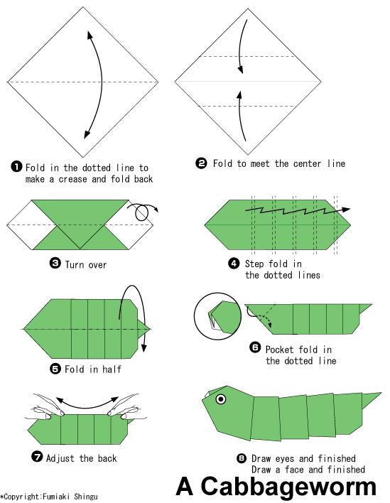 威廉希尔公司官网
折纸菜青虫的基本折法威廉希尔中国官网
告诉你折纸菜青虫如何做