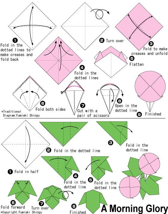 威廉希尔公司官网
折纸牵牛花的基本折法展示出折纸牵牛花是如何进行折叠的