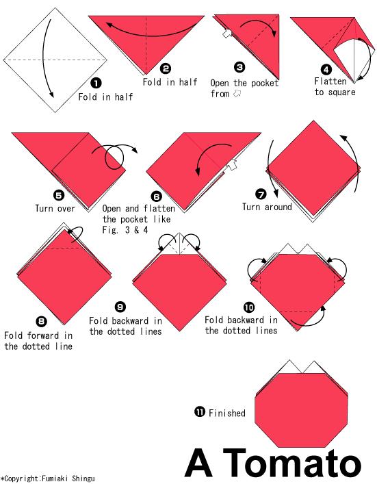 儿童威廉希尔公司官网
制作大全展示出折纸西红柿是如何进行折叠制作的
