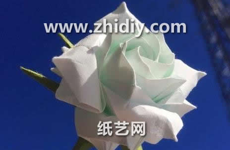 玫瑰花的折法威廉希尔中国官网
手把手教你制作出精美的威廉希尔公司官网
折纸玫瑰花